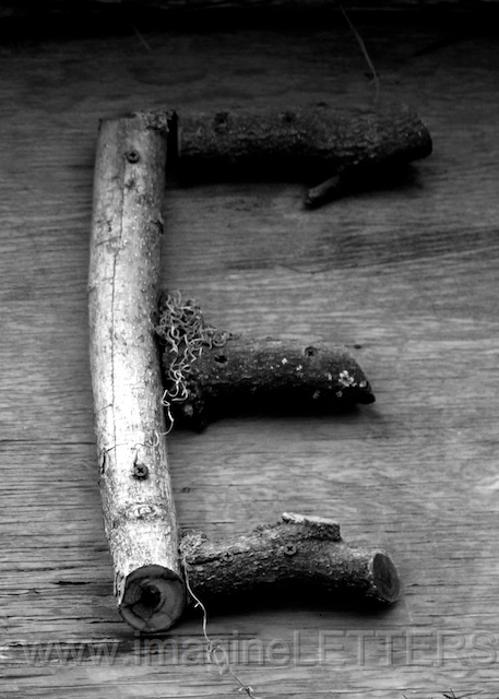 Wall_Art_Alphabet_Photography_Art_ 529.jpg